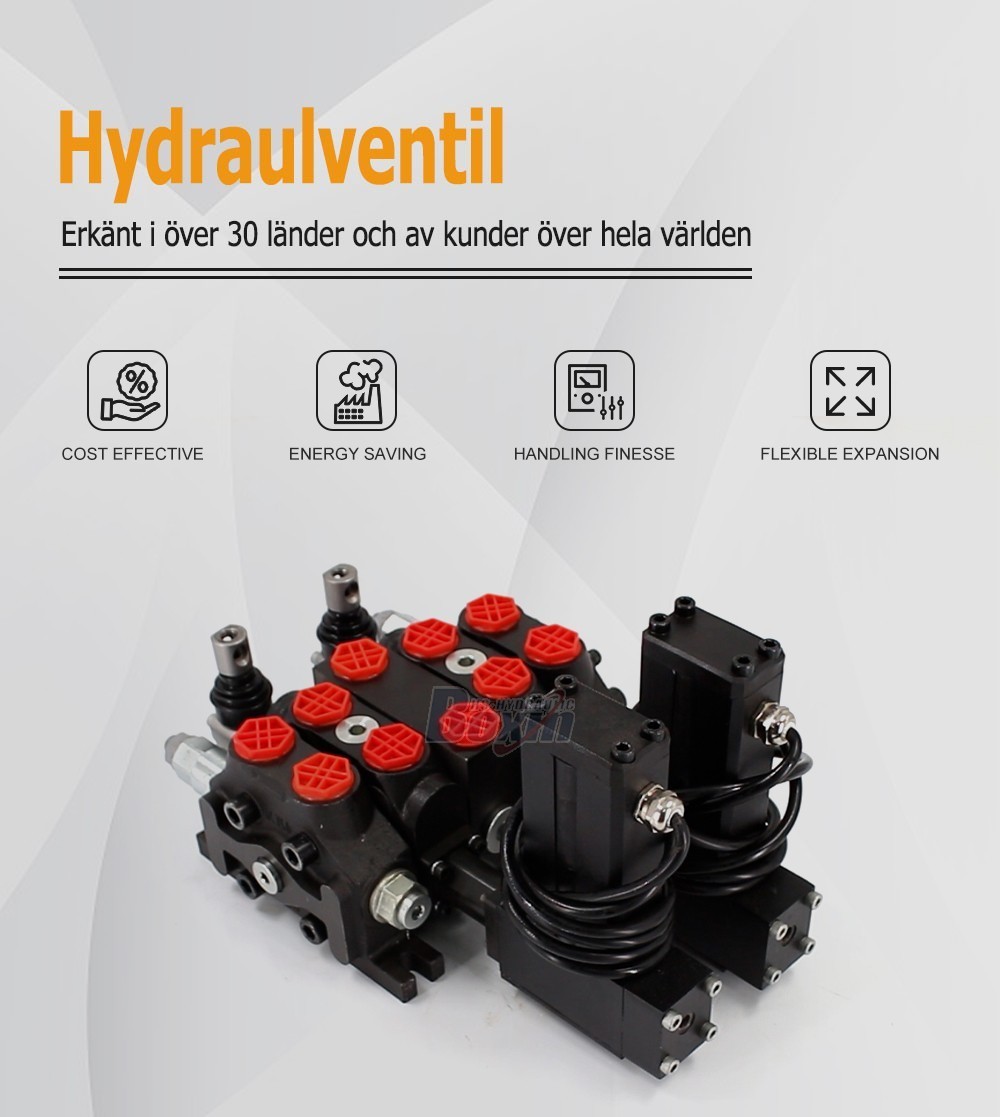 Sectional Directional Valve DCV60 2 Spool Electric Actuated Model